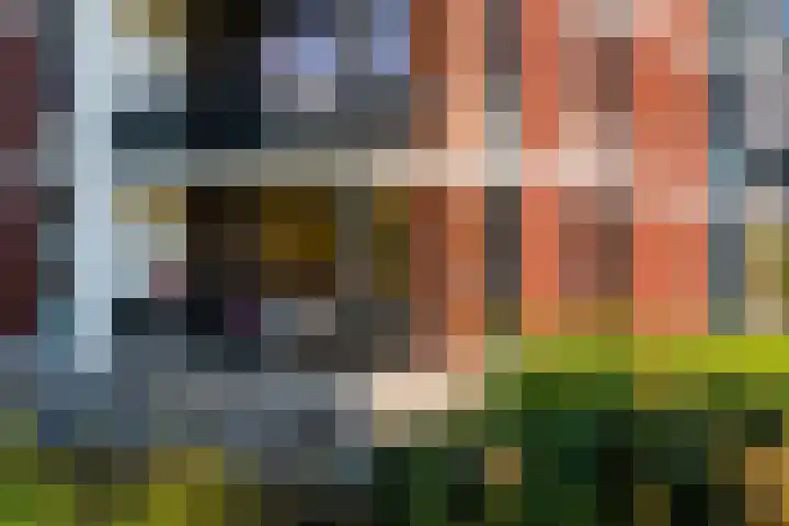 Harenberg 17 Biddinghuizen thumbnail 5