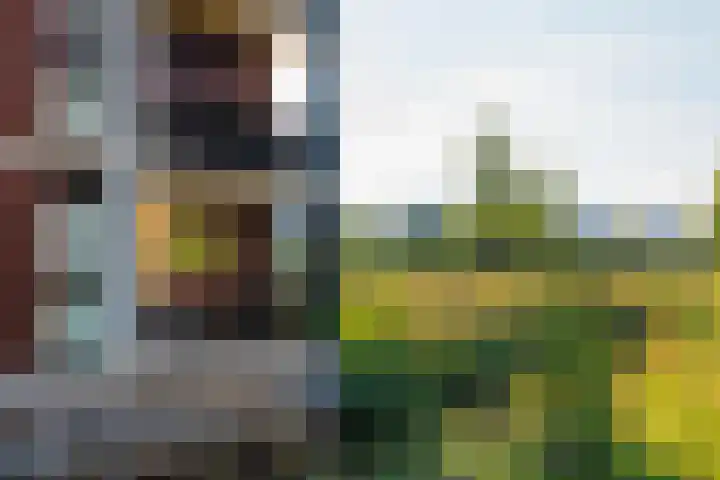Harenberg 17 Biddinghuizen thumbnail 7