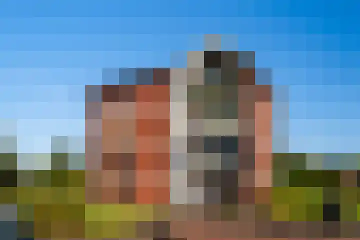 Harenberg 17 Biddinghuizen thumbnail 9
