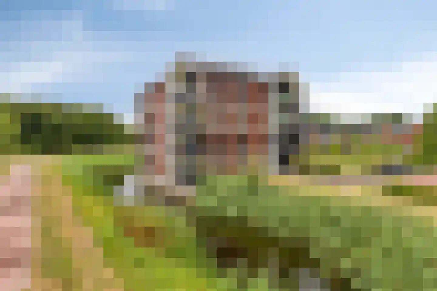 Harenberg 41 Biddinghuizen