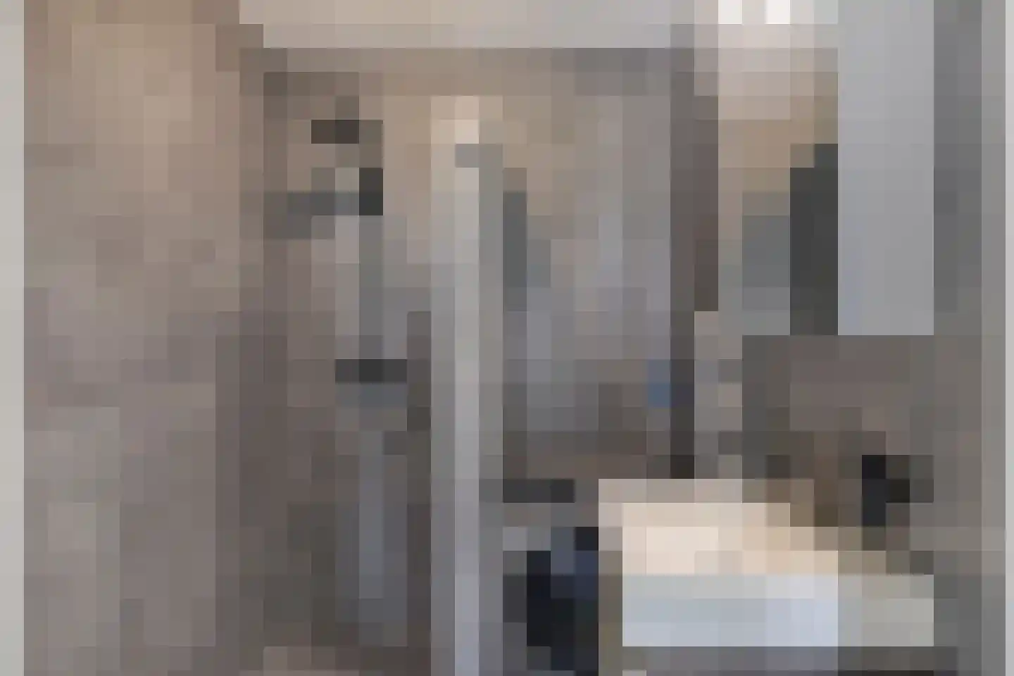 Harenberg 41 Biddinghuizen thumbnail 24