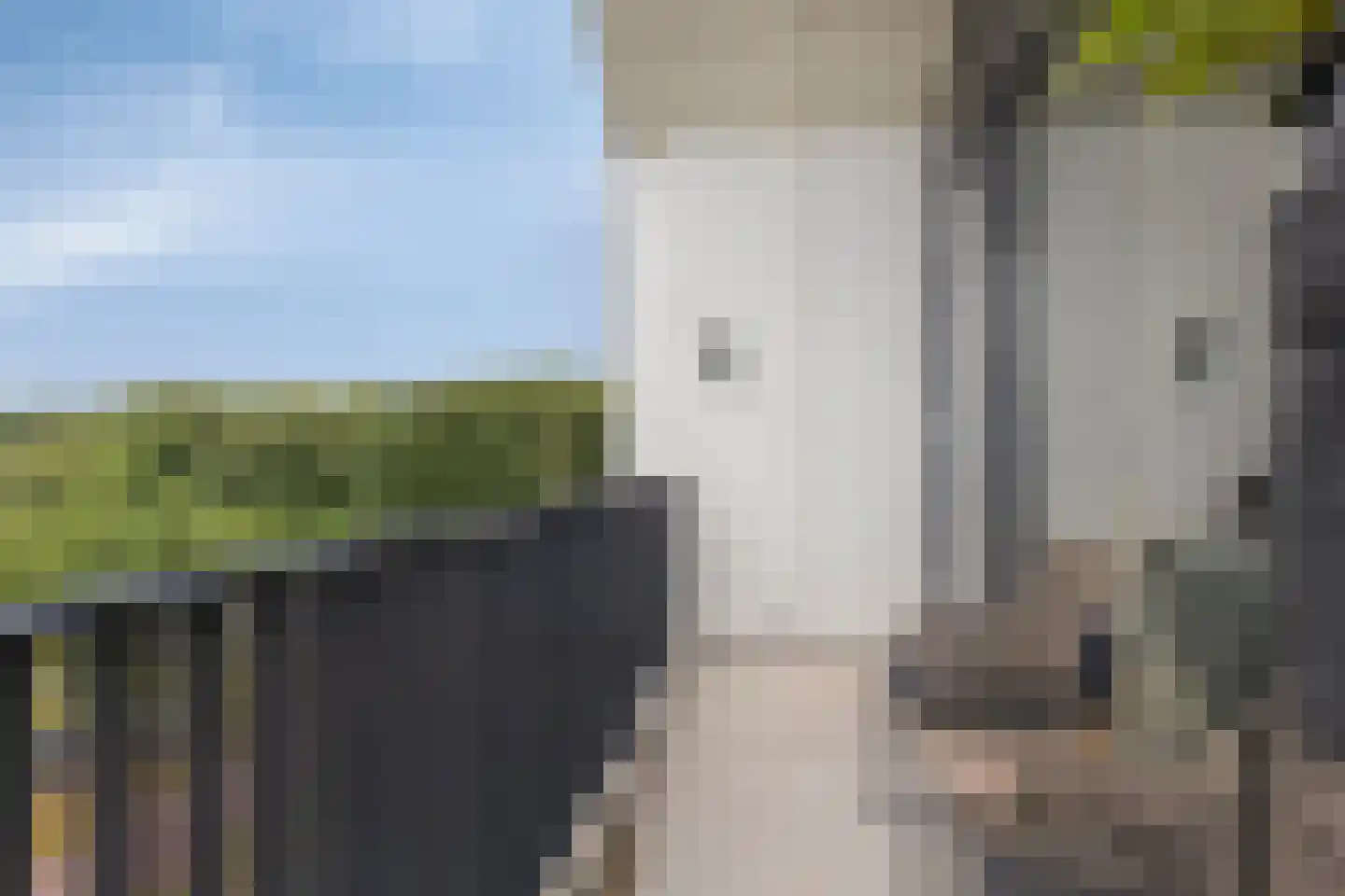 Harenberg 41 Biddinghuizen thumbnail 26