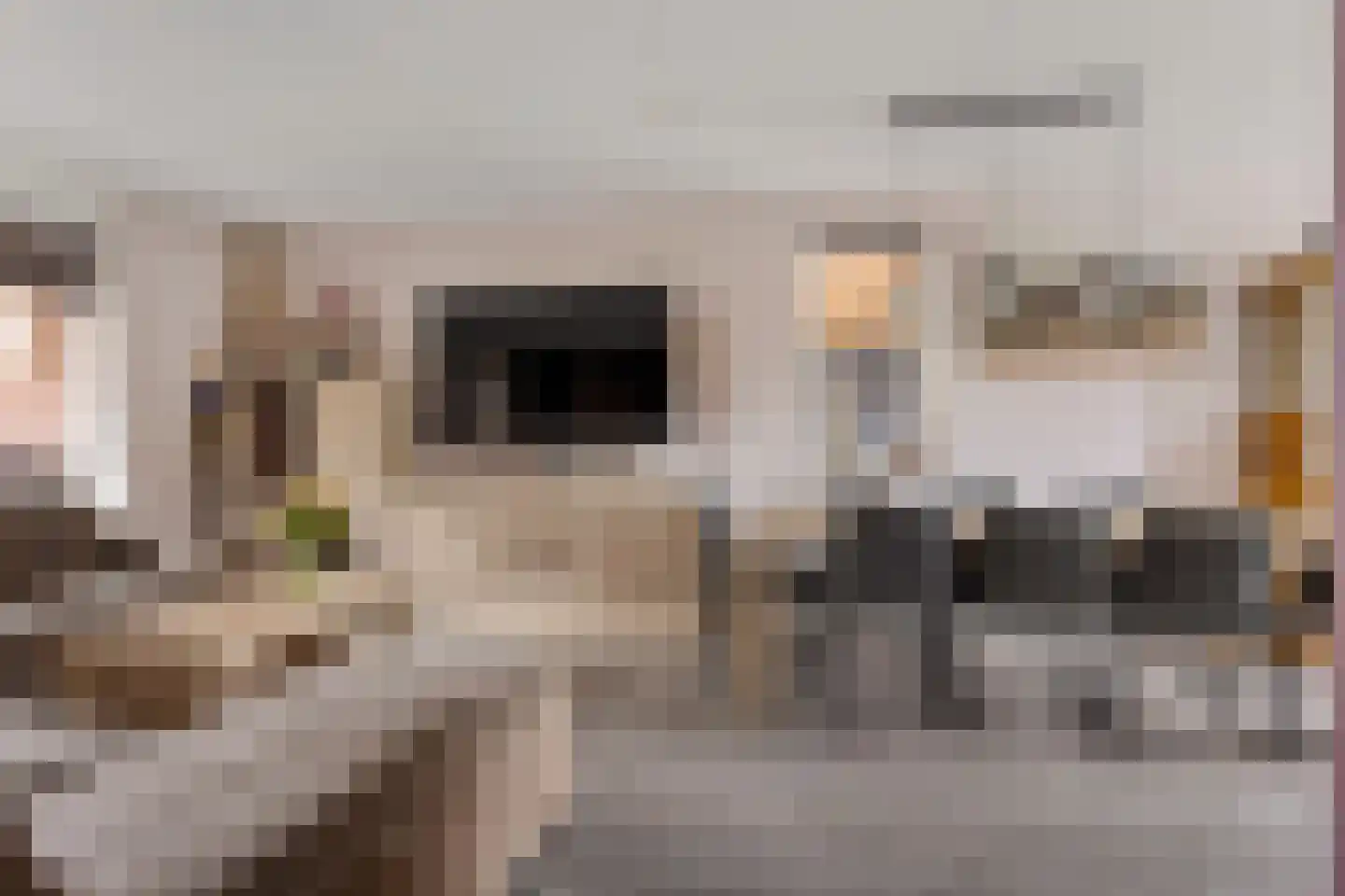 Harenberg 42 Biddinghuizen thumbnail 18