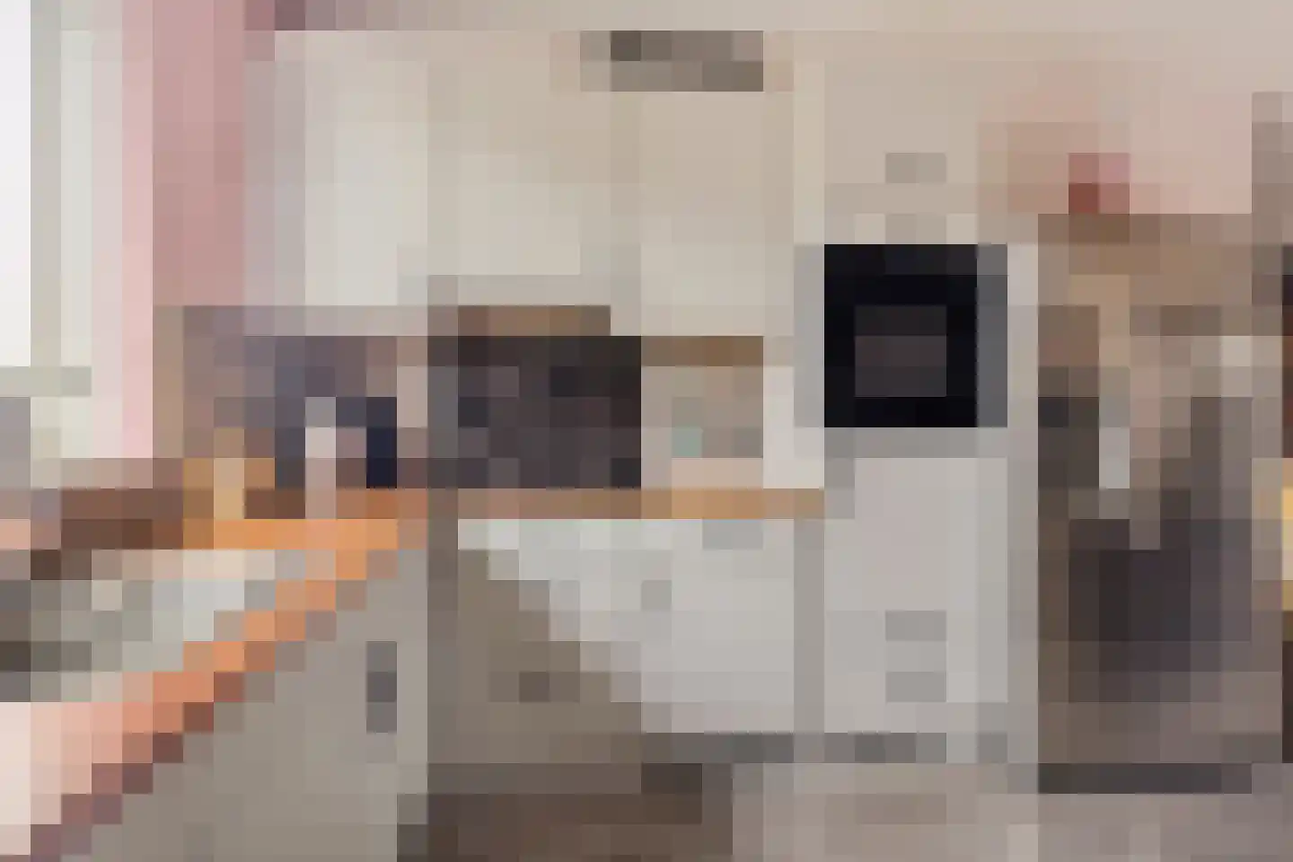 Harenberg 42 Biddinghuizen thumbnail 20