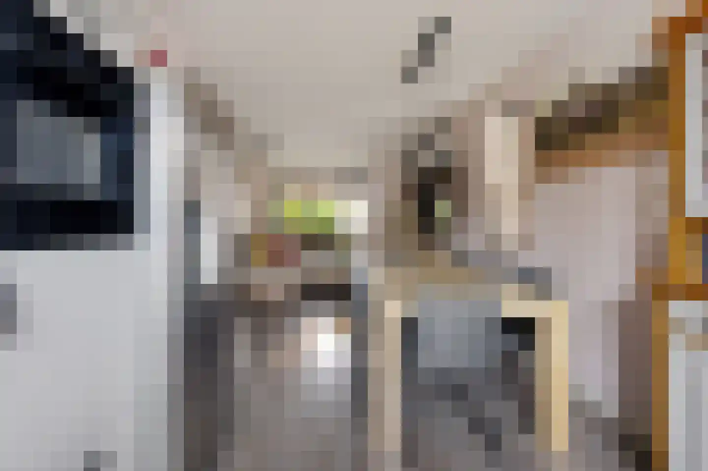 Harenberg 42 Biddinghuizen thumbnail 21