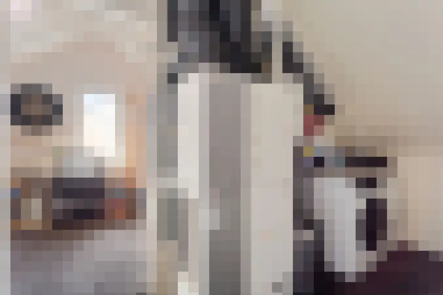 Harenberg 42 Biddinghuizen thumbnail 34