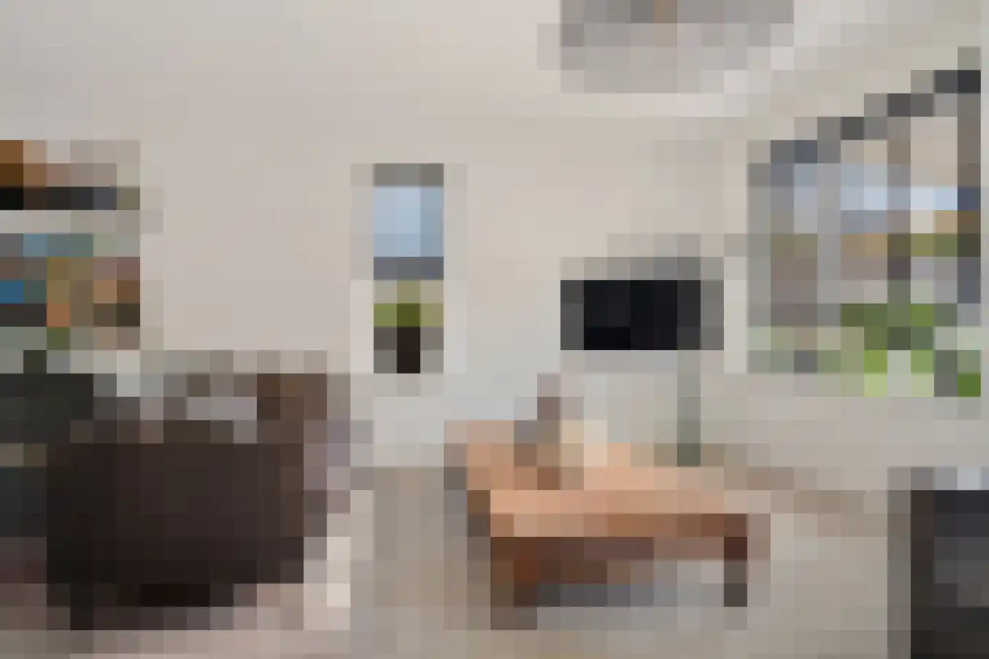 Harenberg 54 A Biddinghuizen thumbnail 11