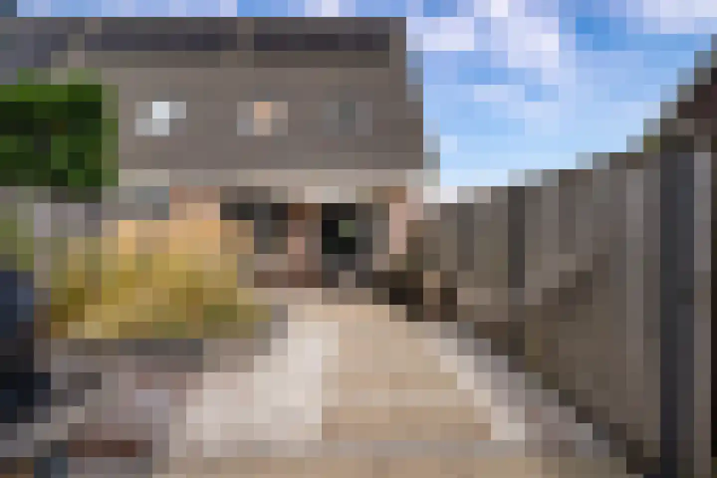 Harenberg 54 A Biddinghuizen thumbnail 44