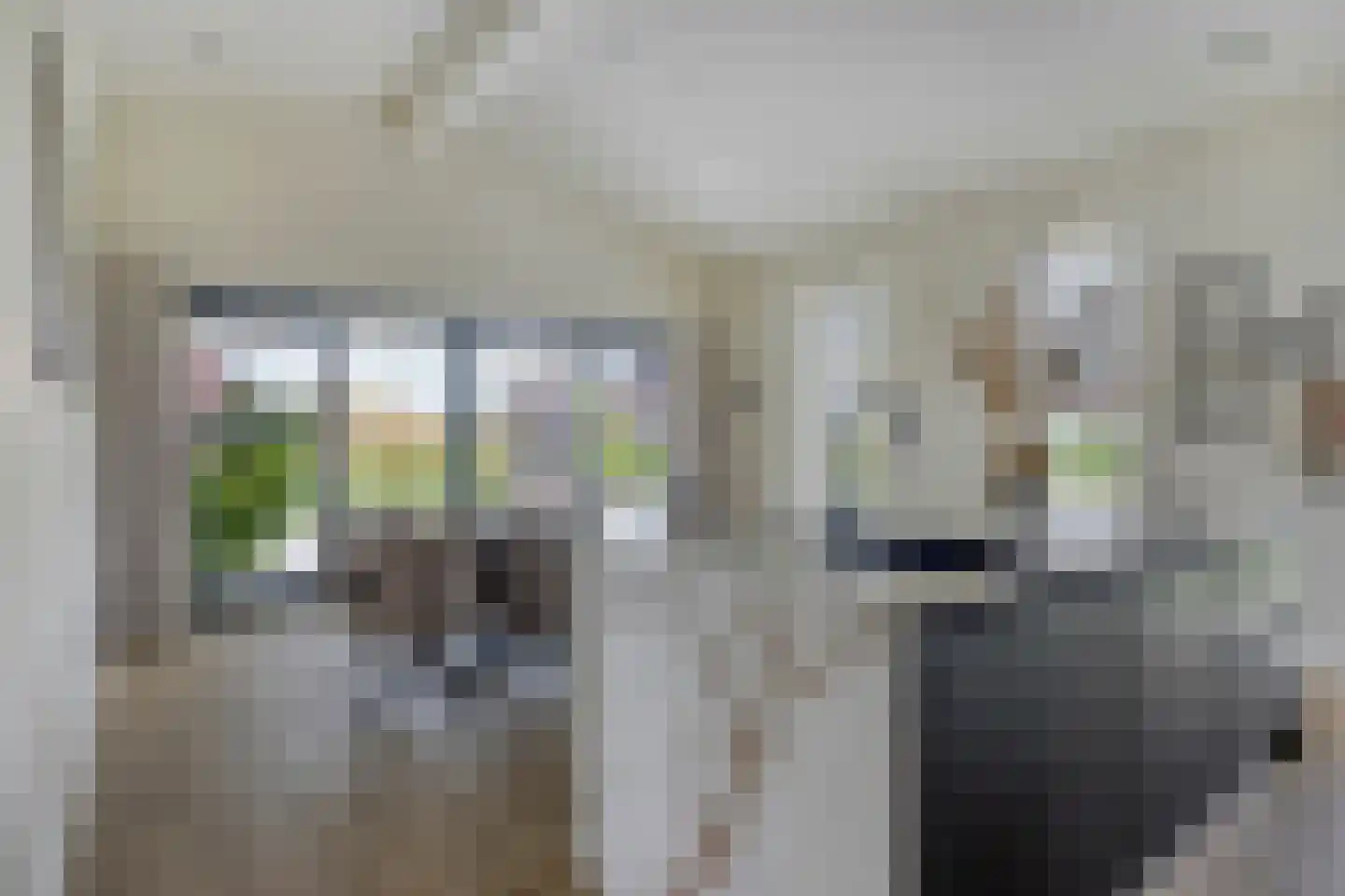 Harenberg 83 Biddinghuizen thumbnail 11