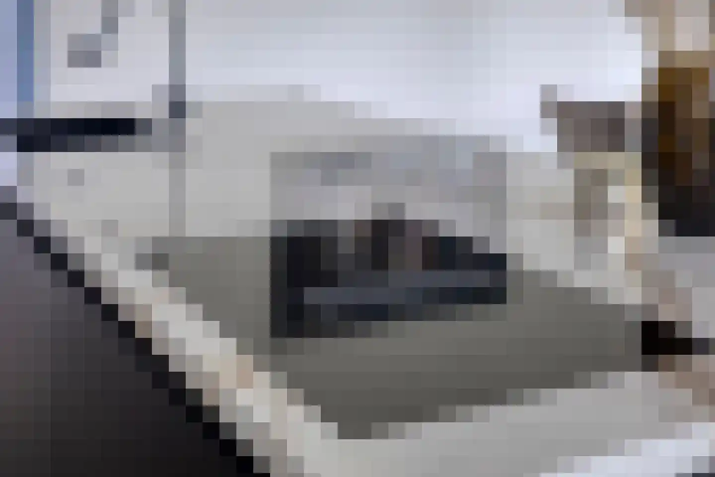 Harenberg 83 Biddinghuizen thumbnail 13