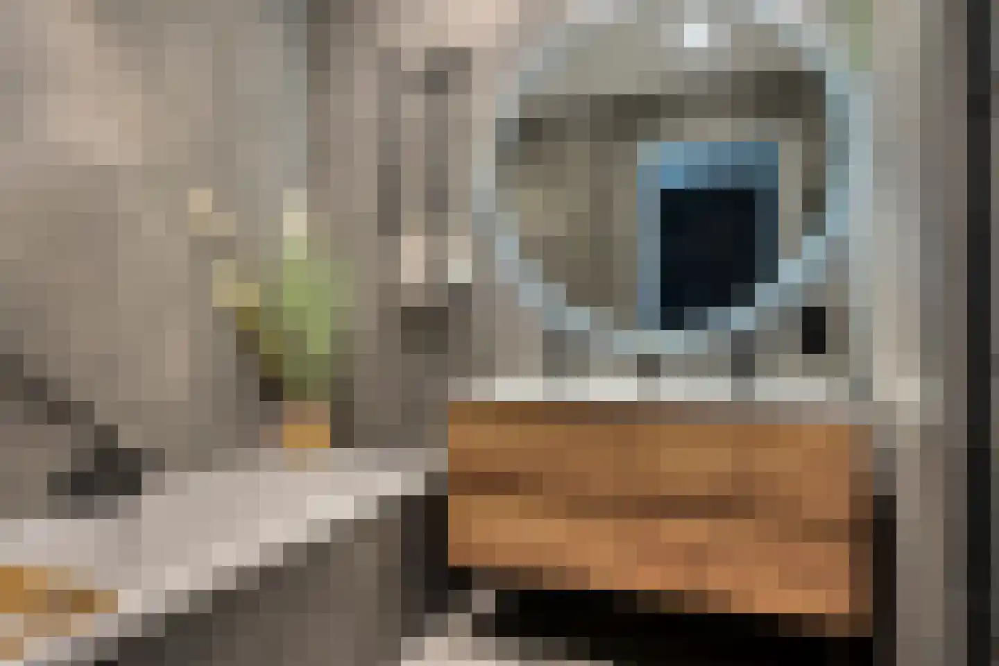 Harenberg 83 Biddinghuizen thumbnail 28