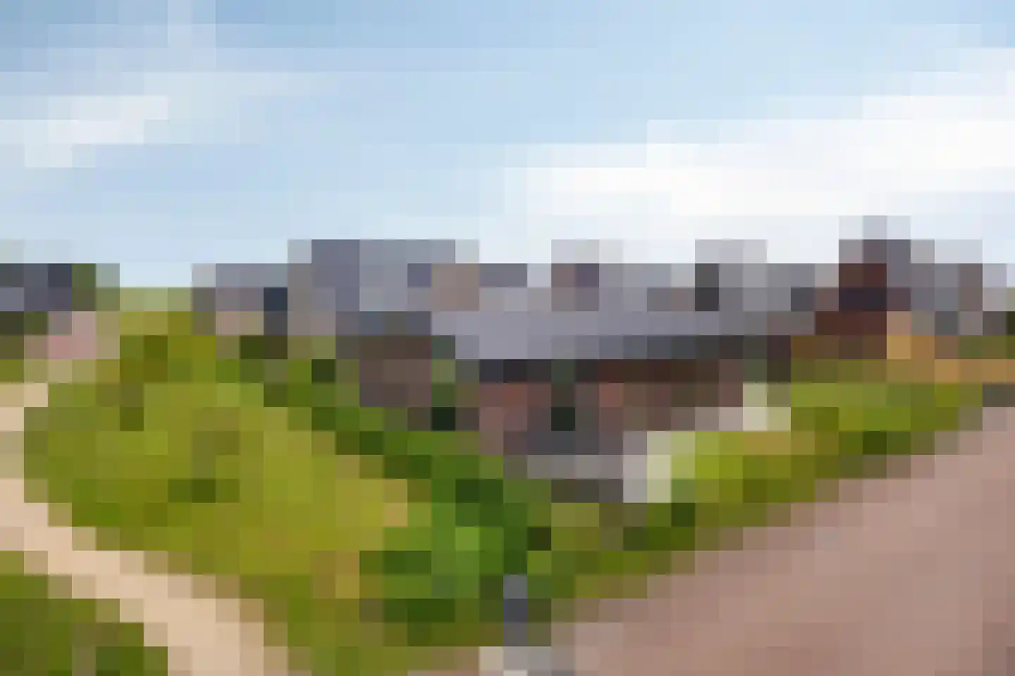 Harenberg 83 Biddinghuizen thumbnail 5
