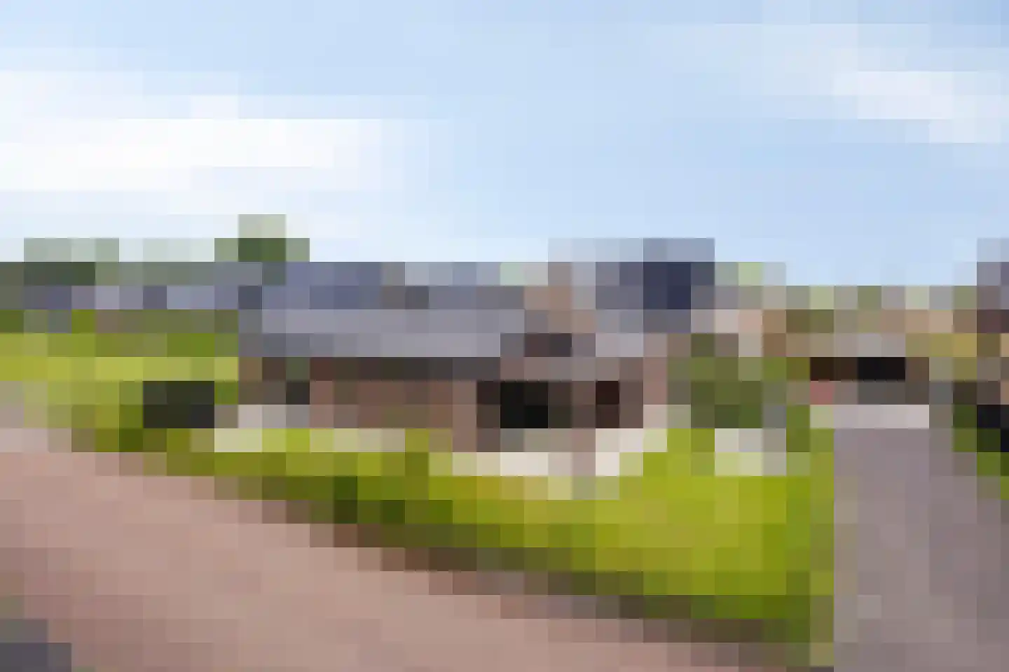Harenberg 83 Biddinghuizen thumbnail 6