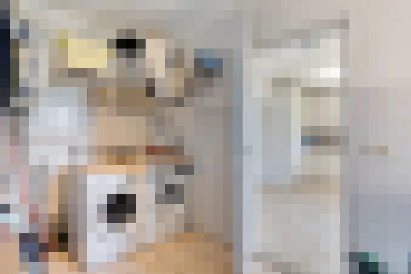 Harensestraat 8 a Ommeren thumbnail 19
