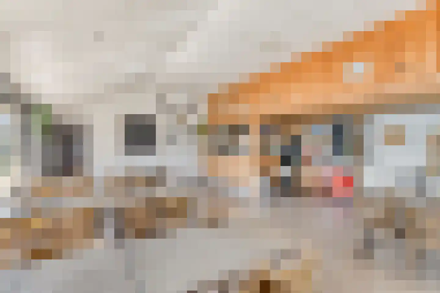 Harensestraat 8 a Ommeren thumbnail 29