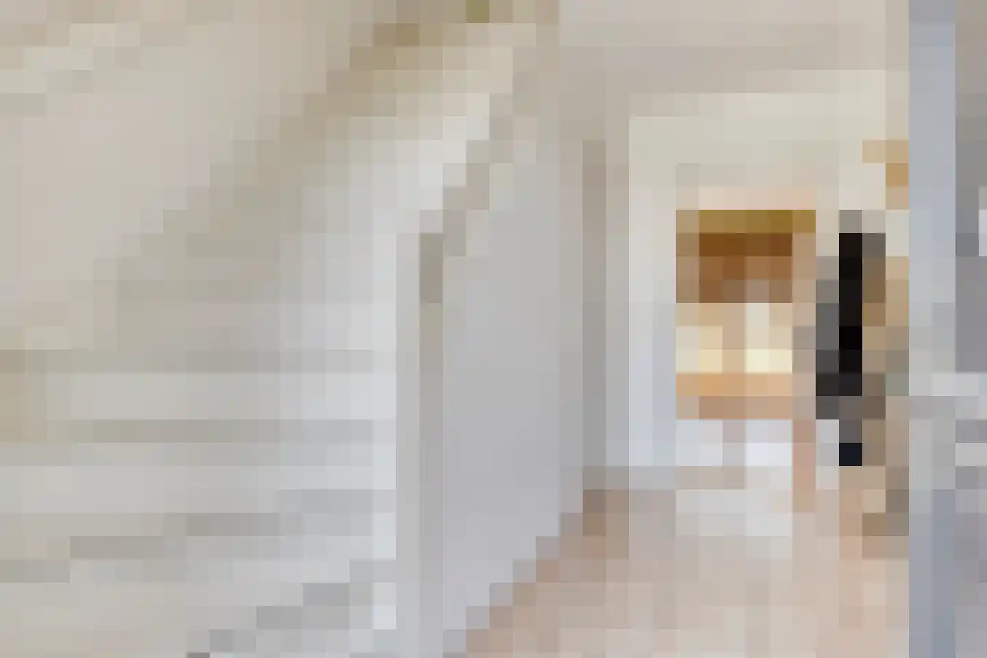 Harensestraat 8 a Ommeren thumbnail 8