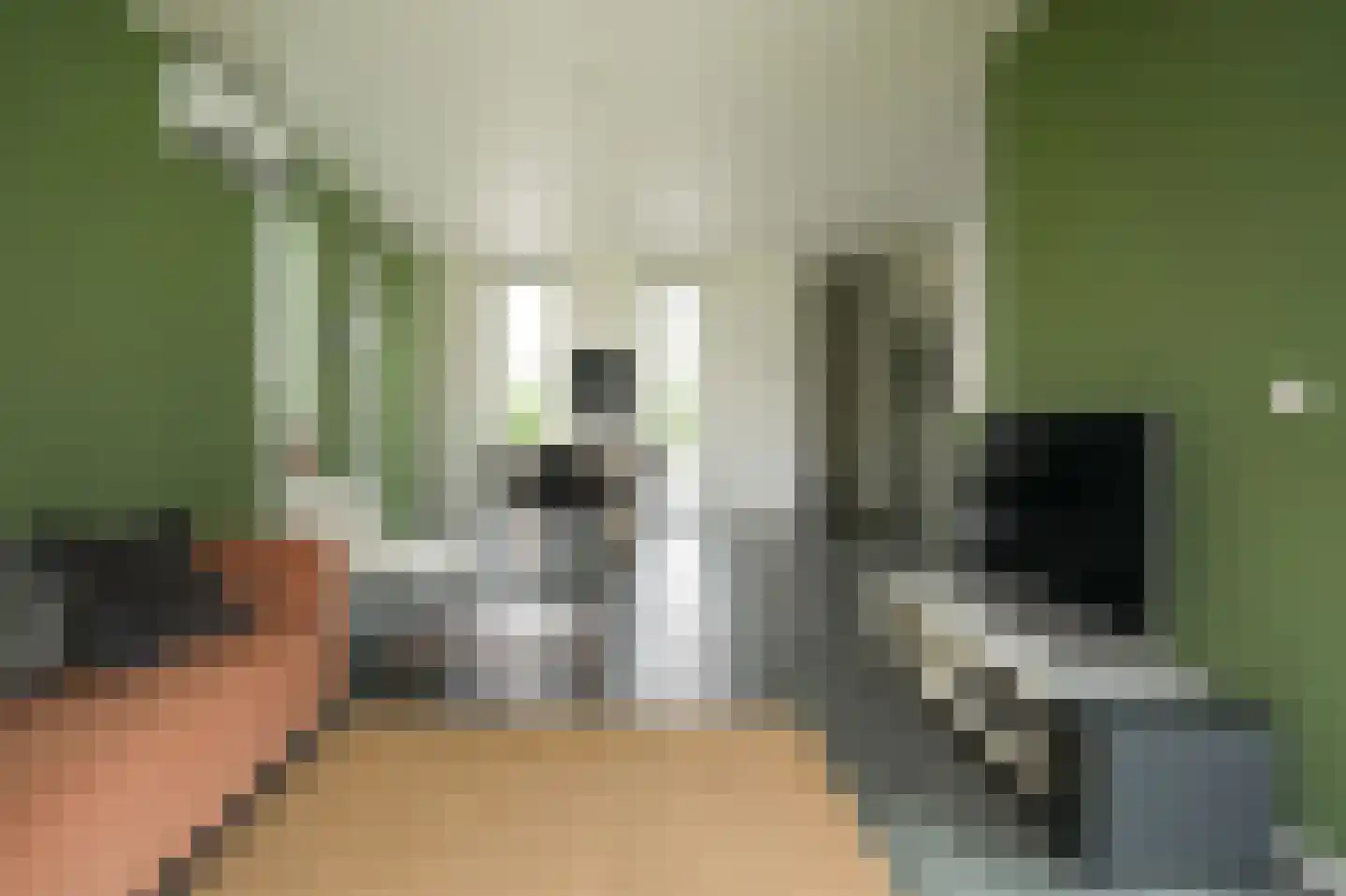 Harenstraat 34 Zuilichem thumbnail 10