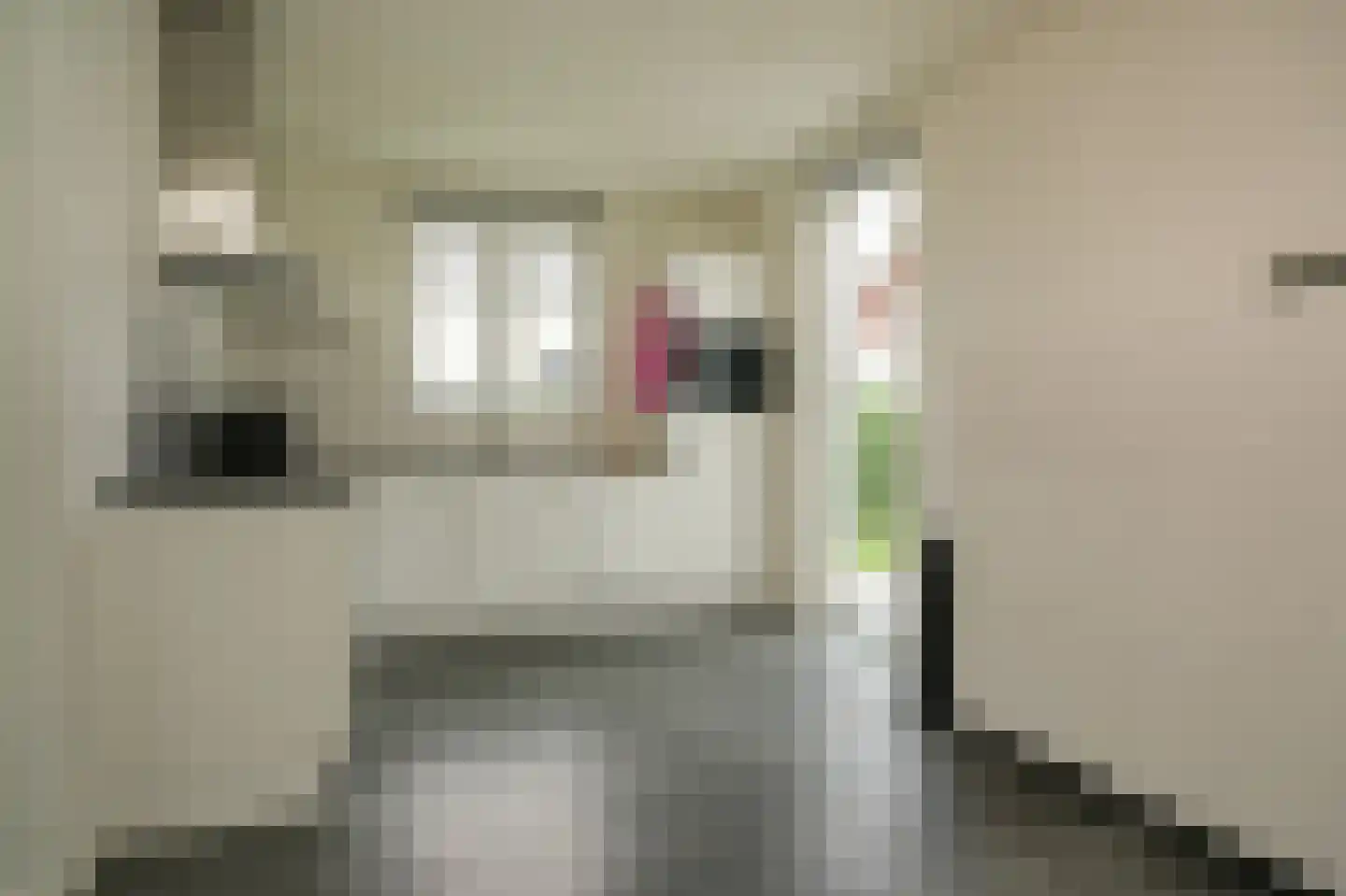 Harenstraat 34 Zuilichem thumbnail 4