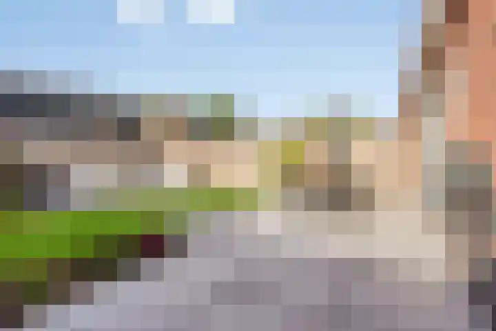 Harenstraat 6 Zuilichem thumbnail 35