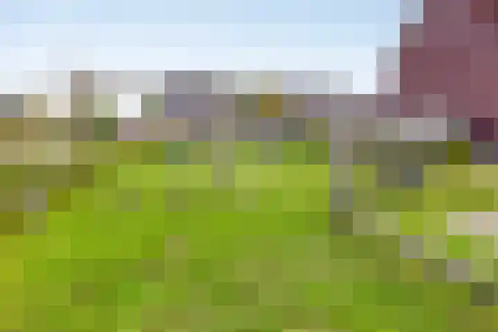 Harenstraat 6 Zuilichem thumbnail 38