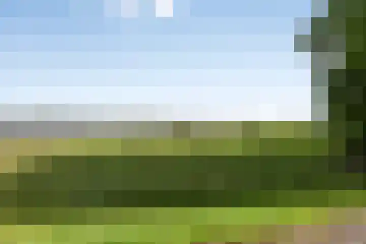 Harenstraat 6 Zuilichem thumbnail 39
