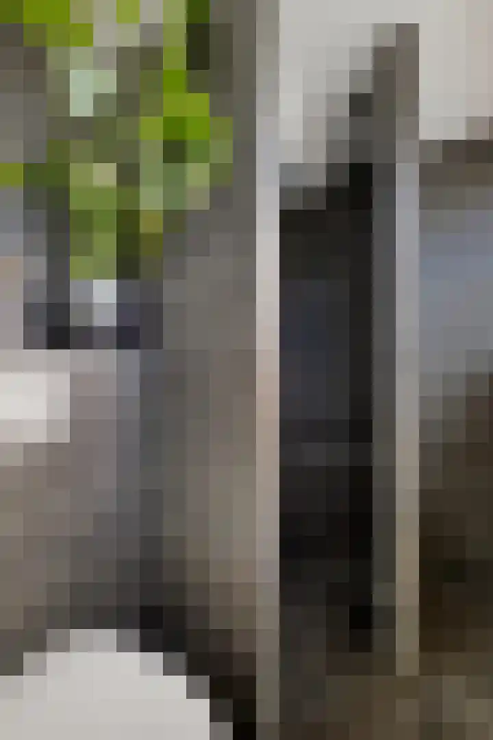 Hareweg 4 Oldemarkt thumbnail 19