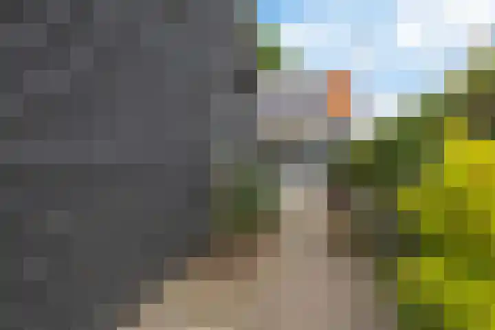 Hareweg 4 Oldemarkt thumbnail 31
