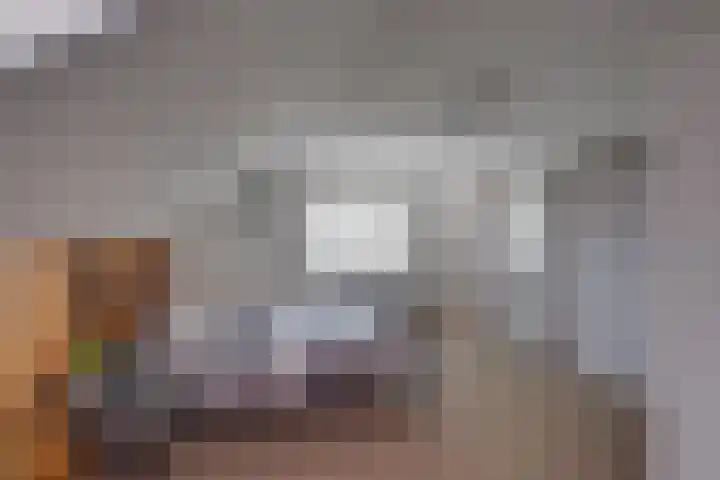 Harfsense Steeg 19 a Harfsen thumbnail 15
