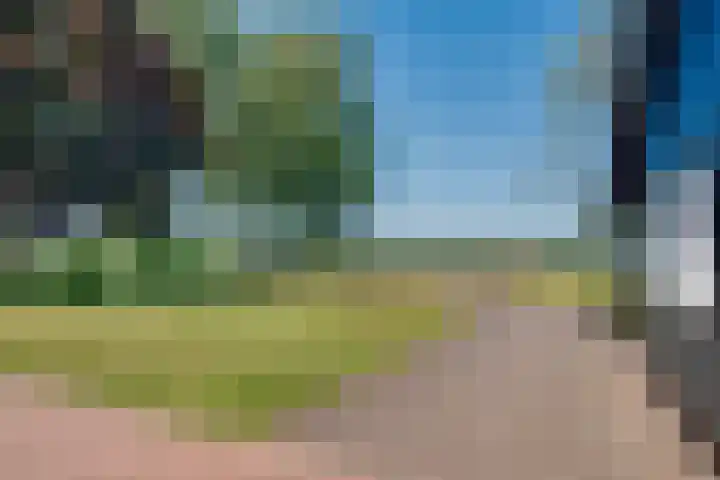Harfsense Steeg 19 a Harfsen thumbnail 21