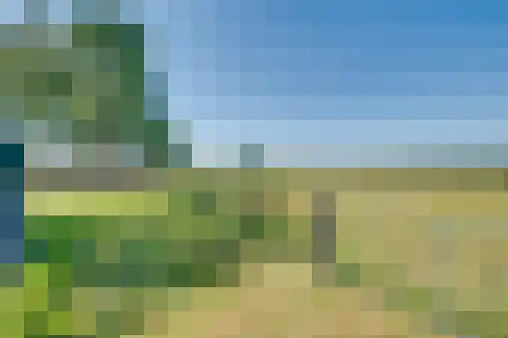 Harfsense Steeg 19 a Harfsen thumbnail 23