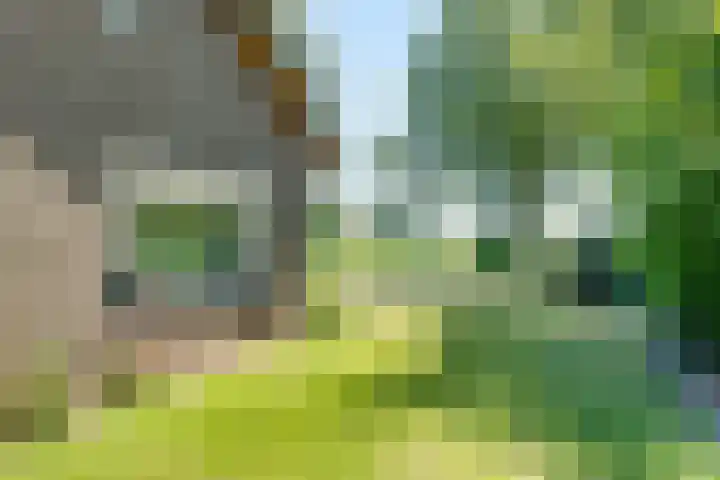 Harfsense Steeg 19 a Harfsen thumbnail 28
