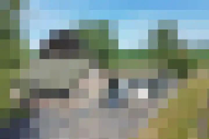 Harfsense Steeg 19 a Harfsen thumbnail 31