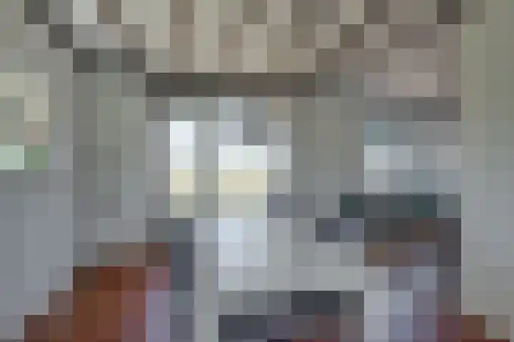 Harfsense Steeg 19 a Harfsen thumbnail 7