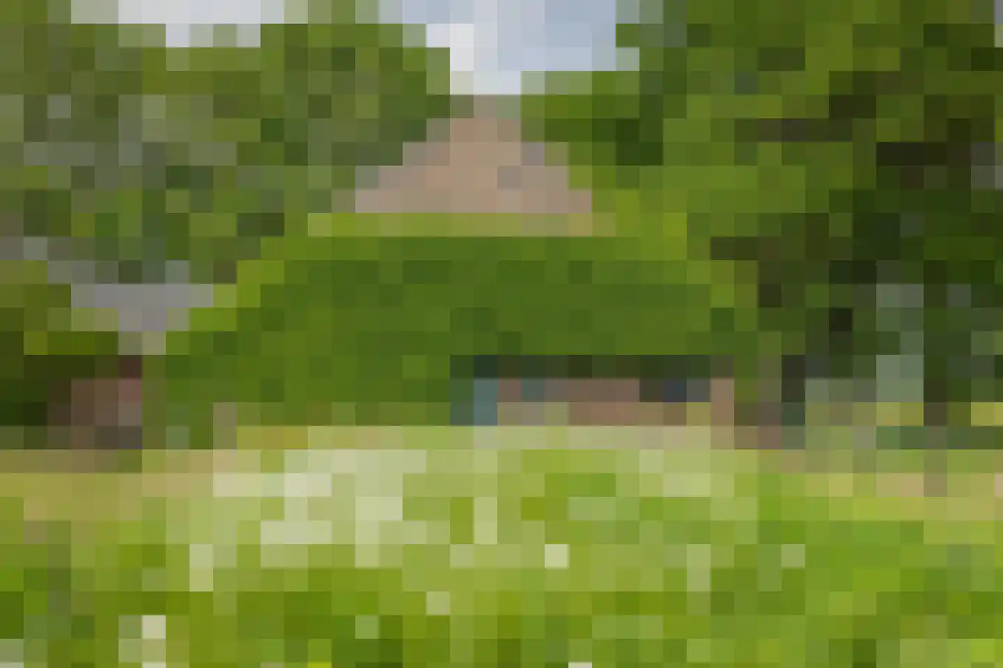 Harfsense Steeg 34 Harfsen thumbnail 11