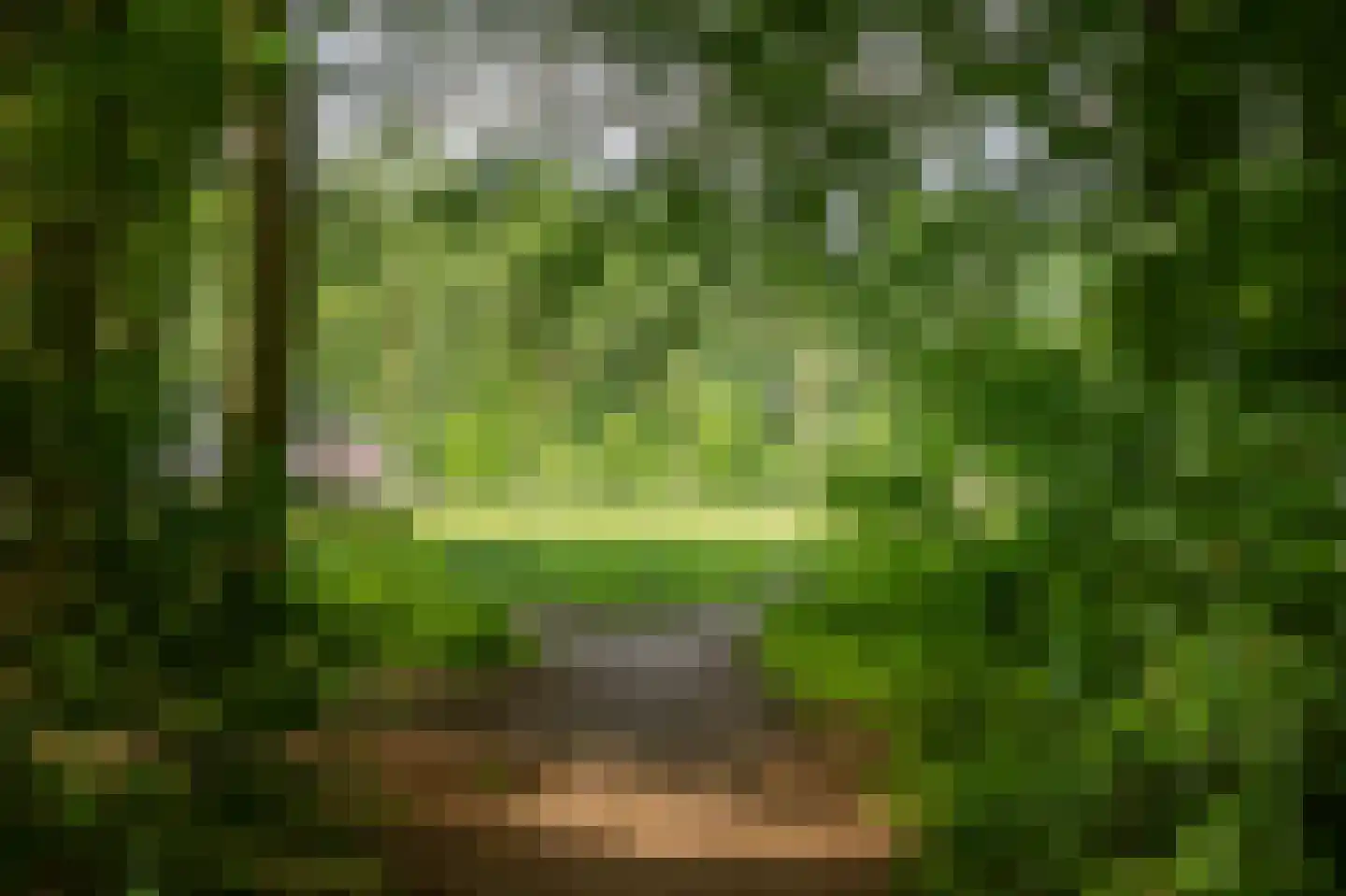 Harfsense Steeg 34 Harfsen thumbnail 12