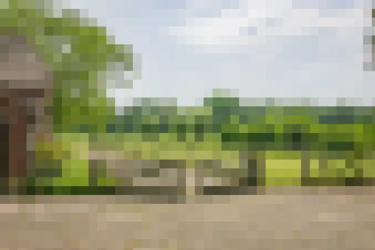 Harfsense Steeg 34 Harfsen thumbnail 19