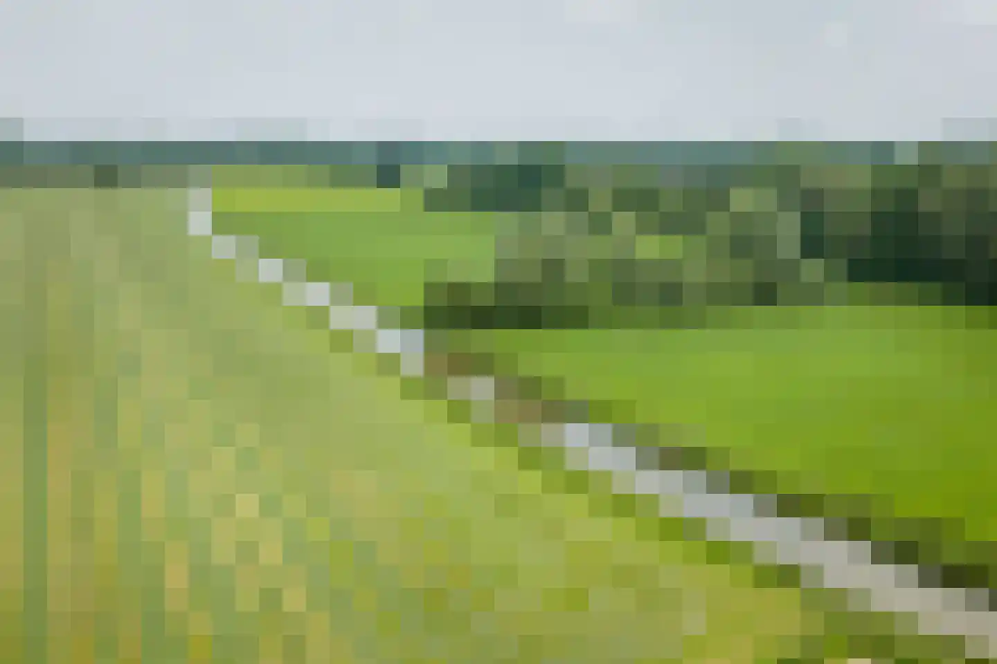 Harfsense Steeg 34 Harfsen thumbnail 21