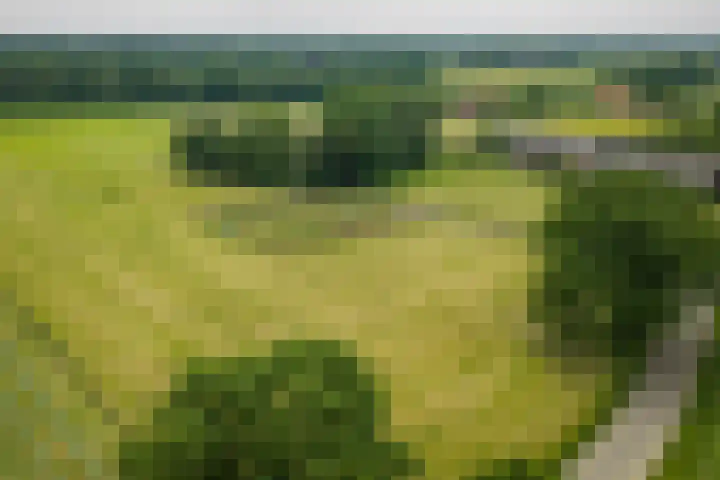Harfsense Steeg 34 Harfsen thumbnail 23