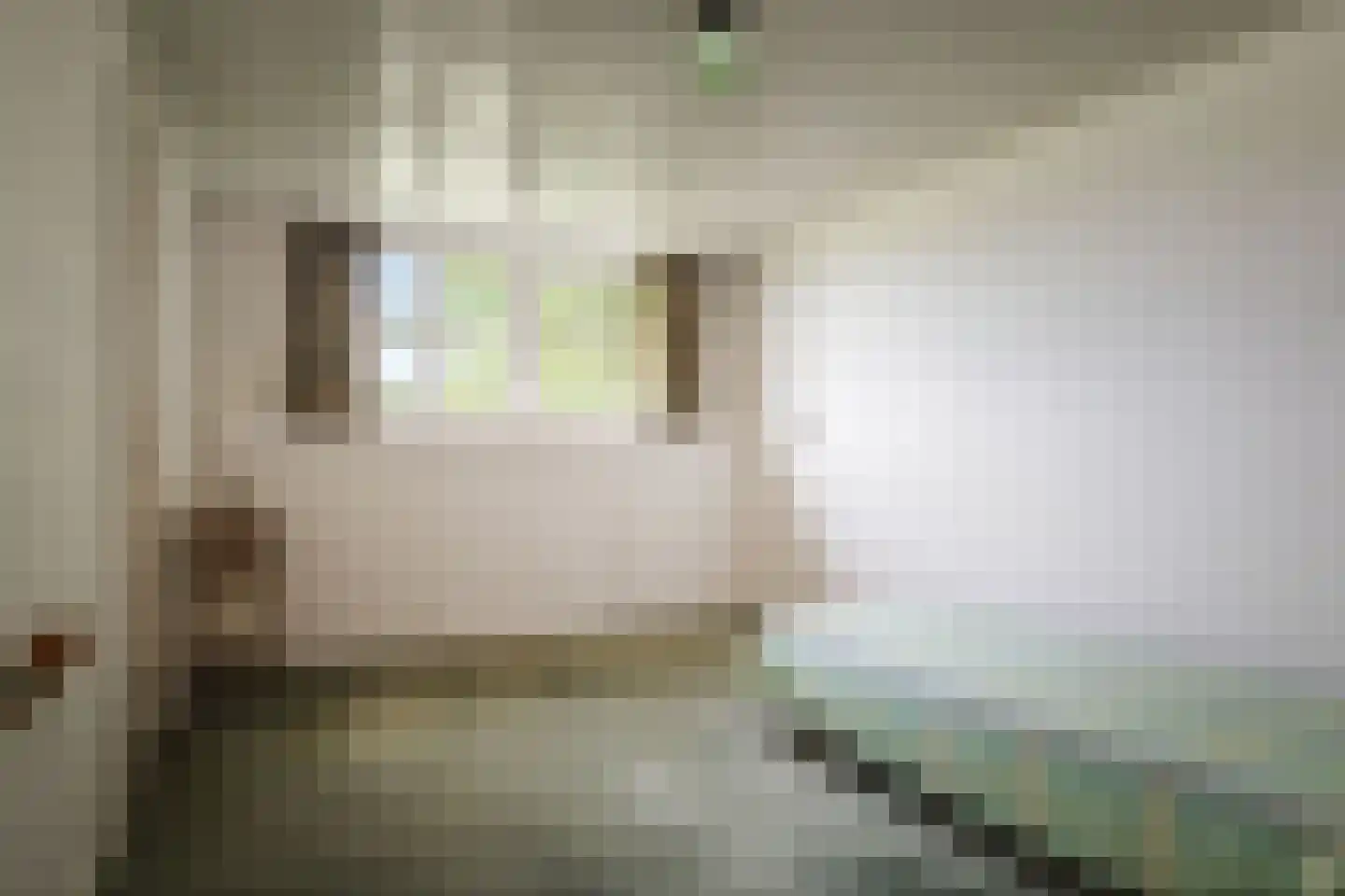Harfsense Steeg 34 Harfsen thumbnail 29