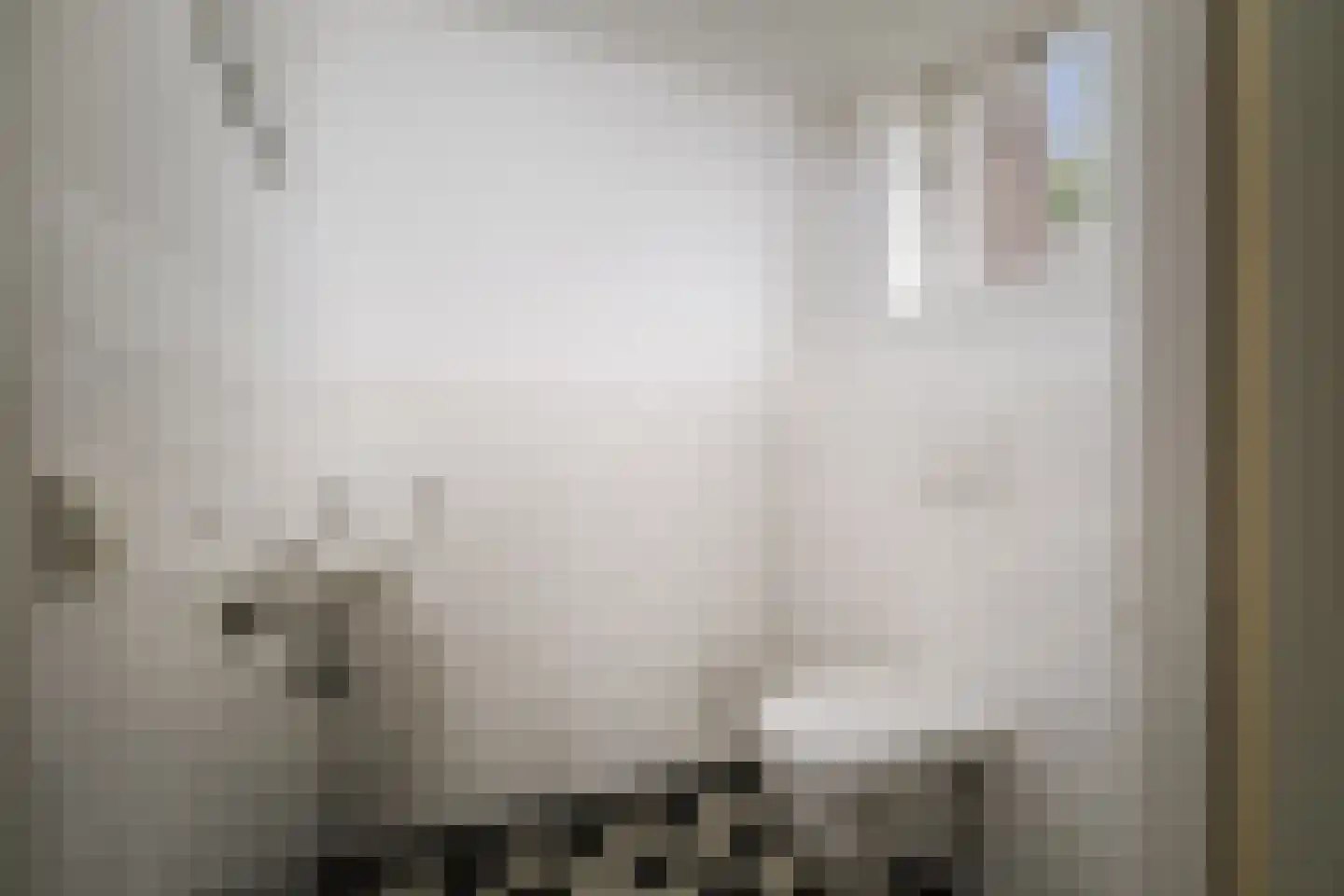 Harfsense Steeg 34 Harfsen thumbnail 31
