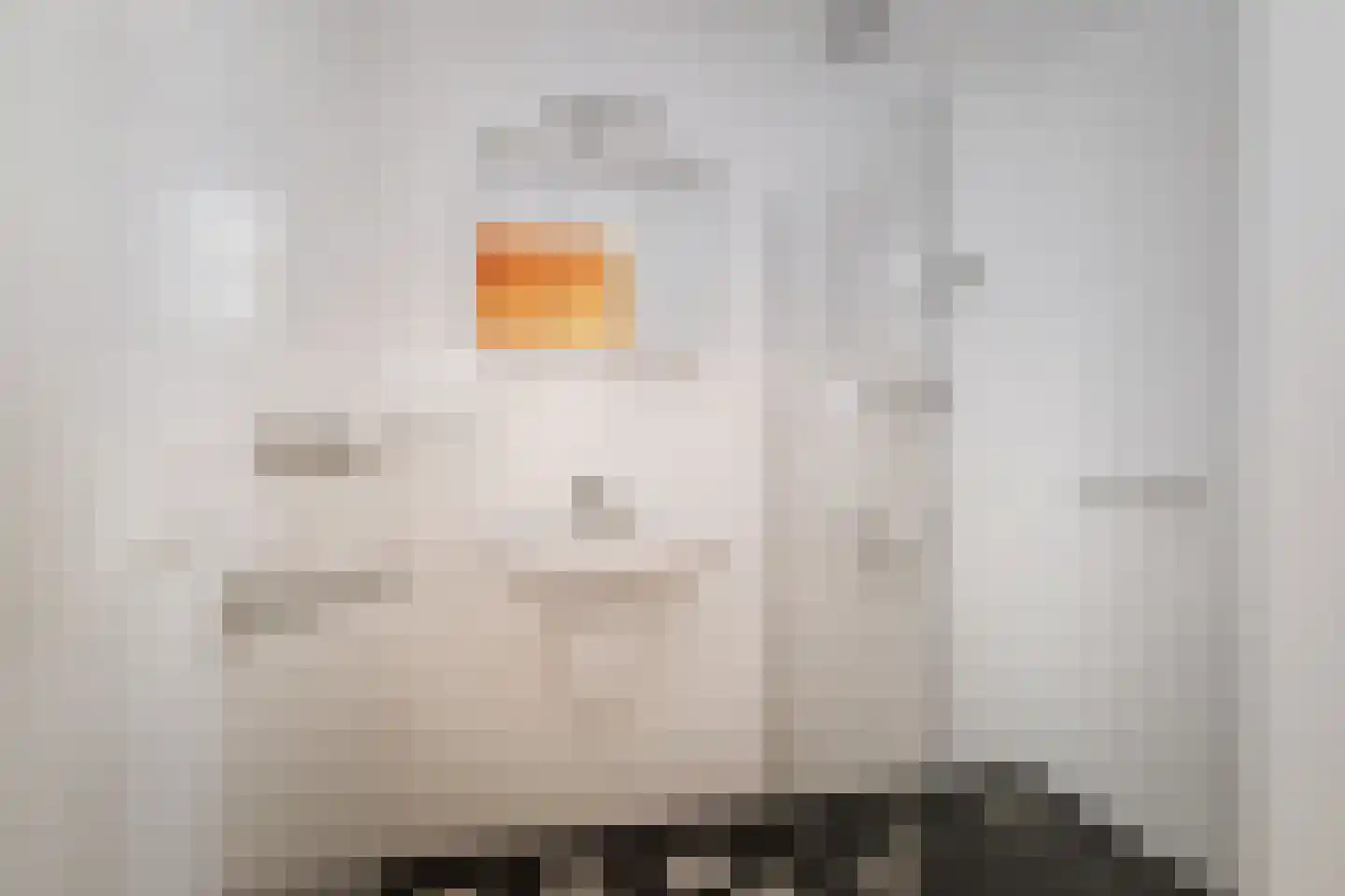 Harfsense Steeg 34 Harfsen thumbnail 32