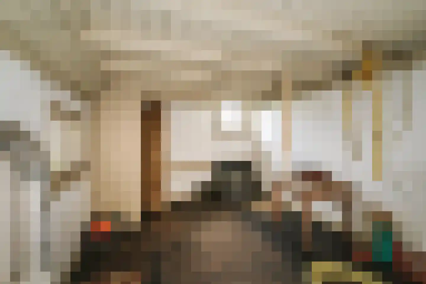 Harfsense Steeg 34 Harfsen thumbnail 35