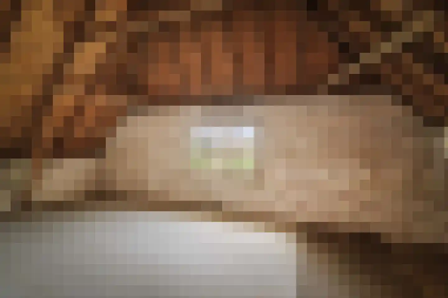Harfsense Steeg 34 Harfsen thumbnail 36