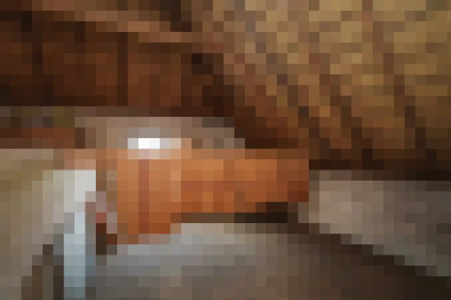 Harfsense Steeg 34 Harfsen thumbnail 37