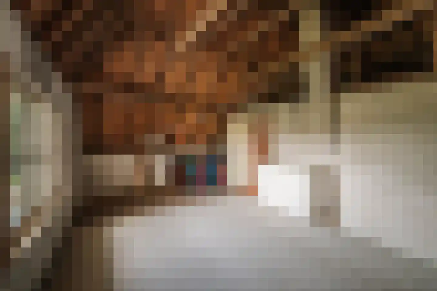 Harfsense Steeg 34 Harfsen thumbnail 38