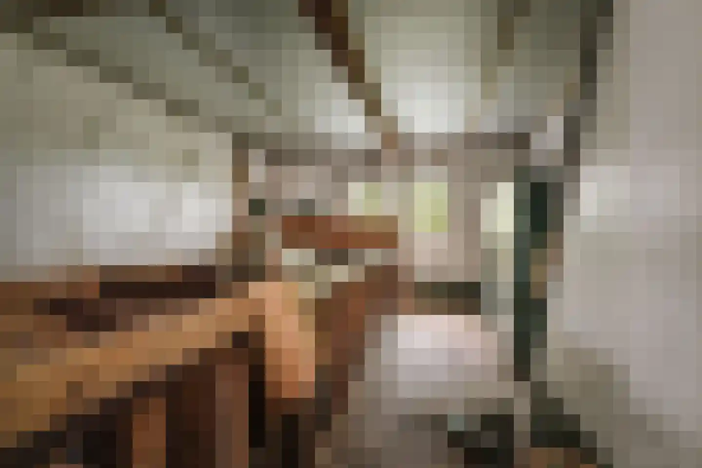 Harfsense Steeg 34 Harfsen thumbnail 39