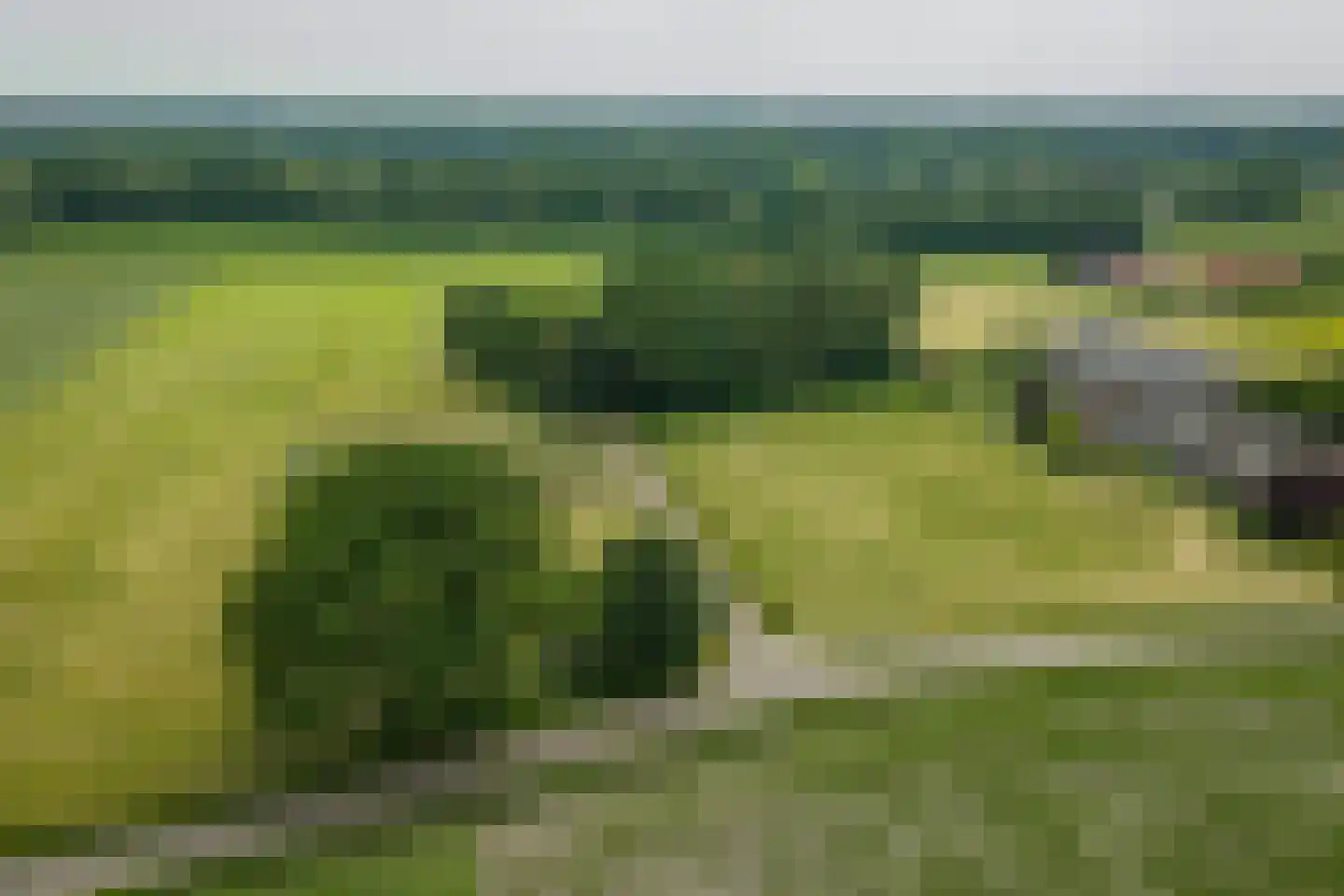 Harfsense Steeg 34 Harfsen thumbnail 46