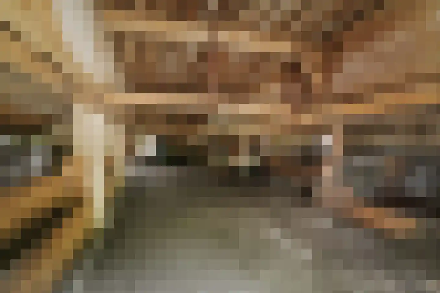 Harfsense Steeg 34 Harfsen thumbnail 48