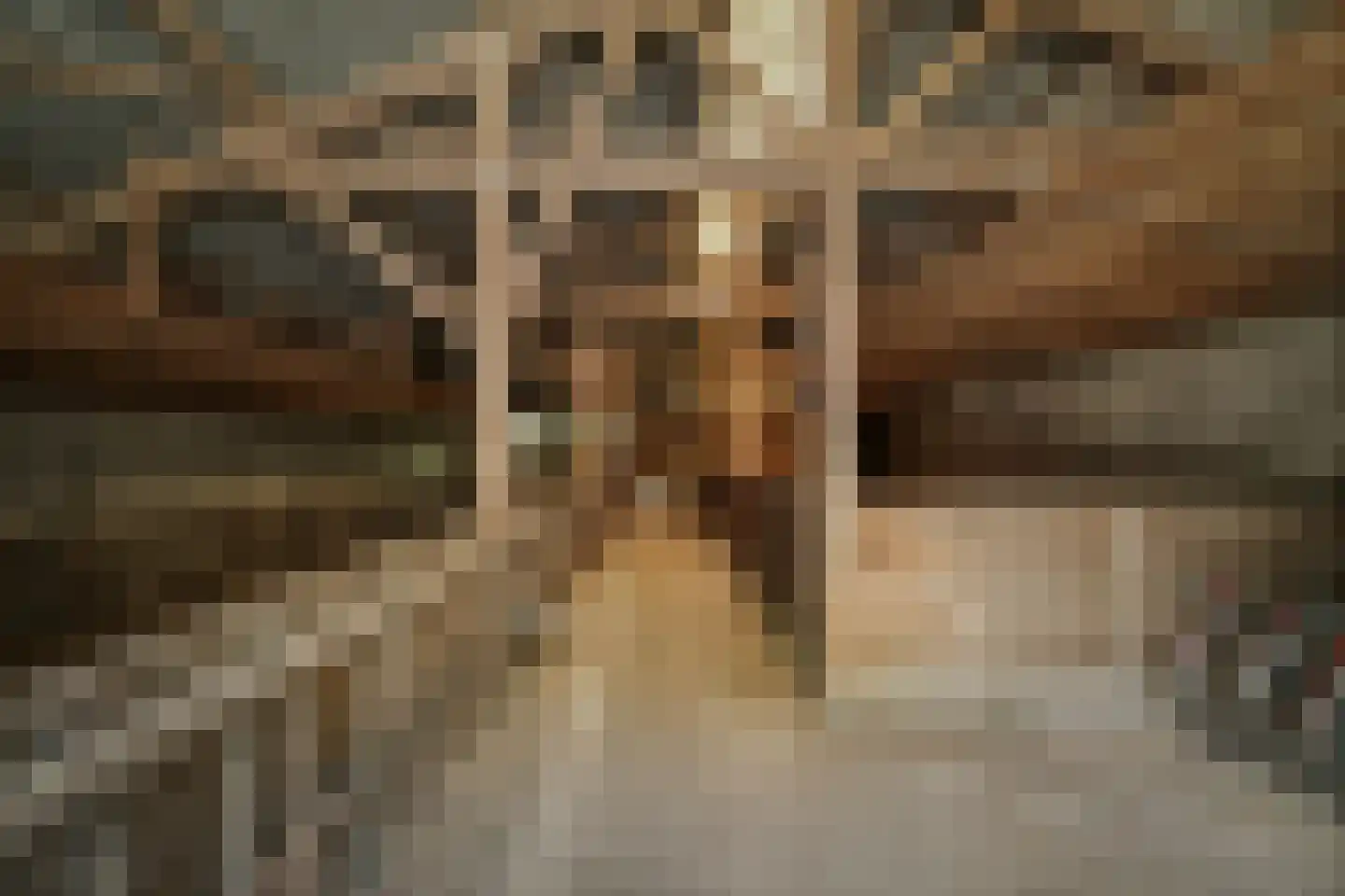 Harfsense Steeg 34 Harfsen thumbnail 49