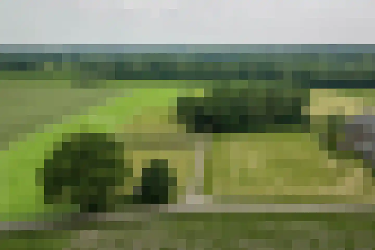 Harfsense Steeg 34 Harfsen thumbnail 51